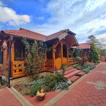Eko Apartmani Backi Petrovac Exteriör bild