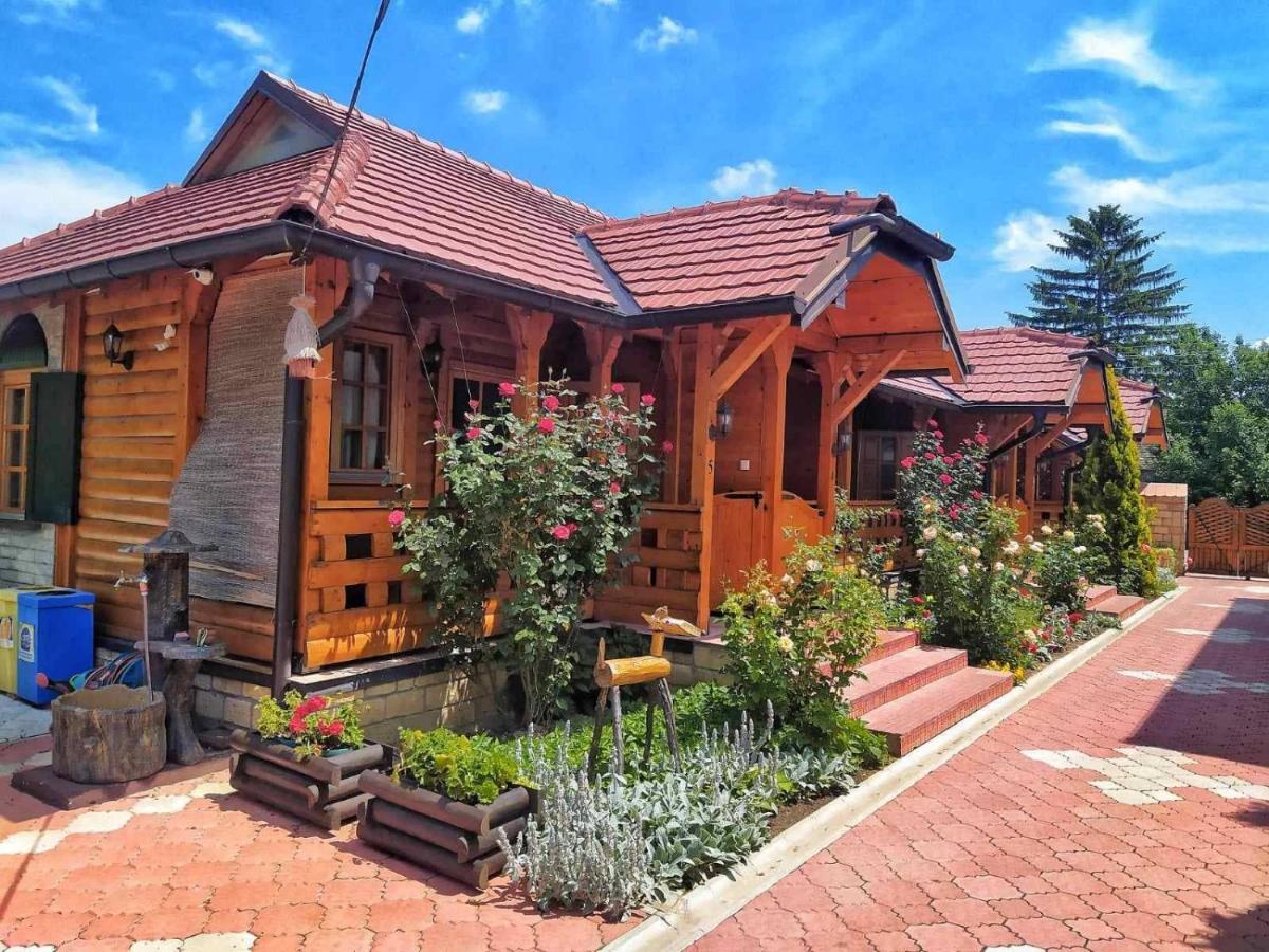 Eko Apartmani Backi Petrovac Exteriör bild