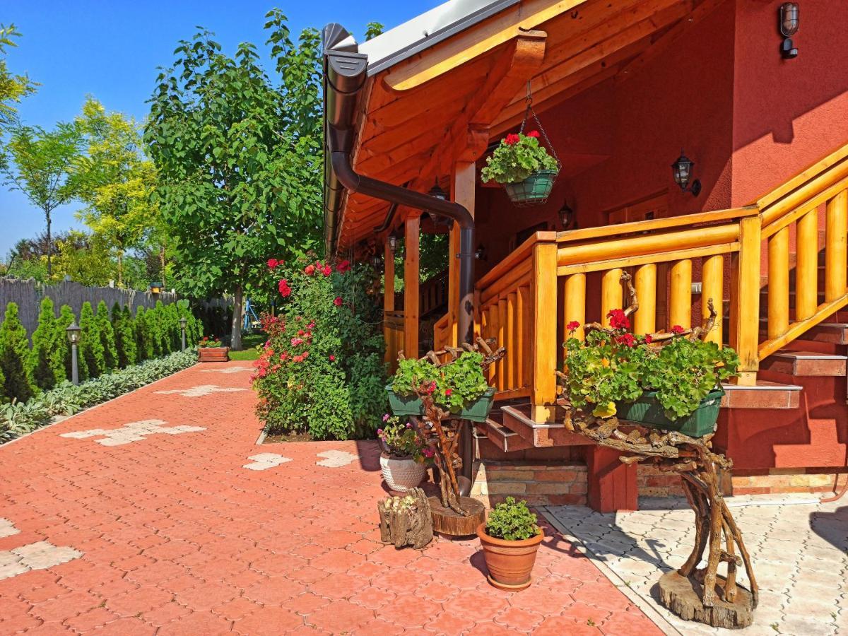 Eko Apartmani Backi Petrovac Exteriör bild