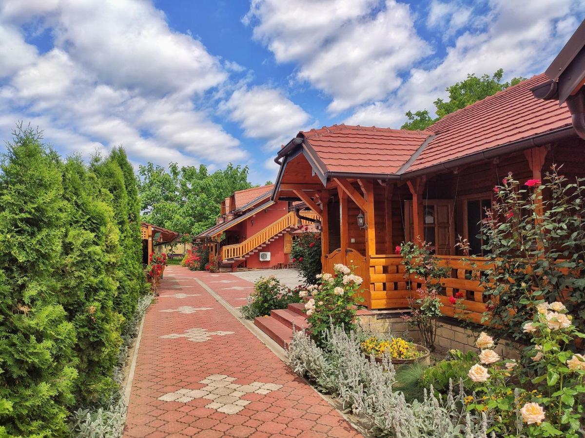 Eko Apartmani Backi Petrovac Exteriör bild