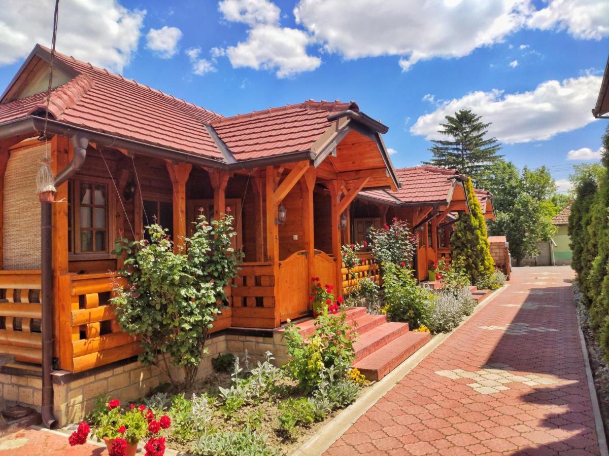Eko Apartmani Backi Petrovac Exteriör bild