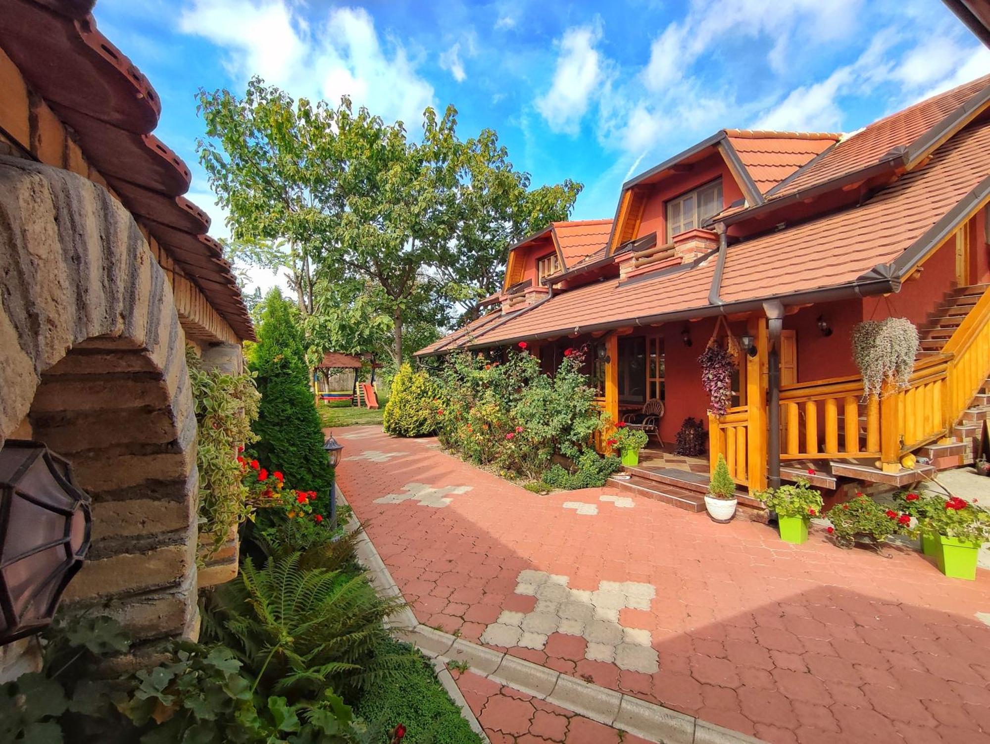 Eko Apartmani Backi Petrovac Exteriör bild