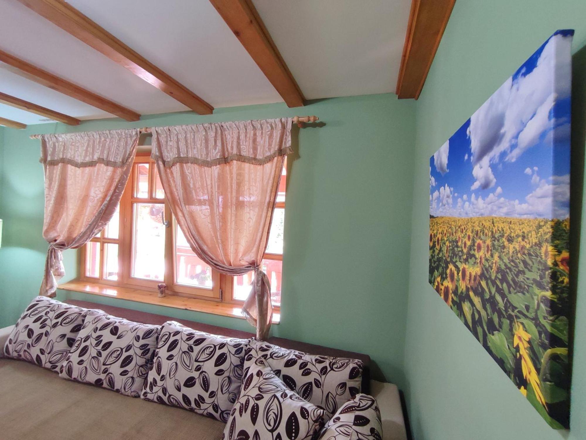 Eko Apartmani Backi Petrovac Rum bild