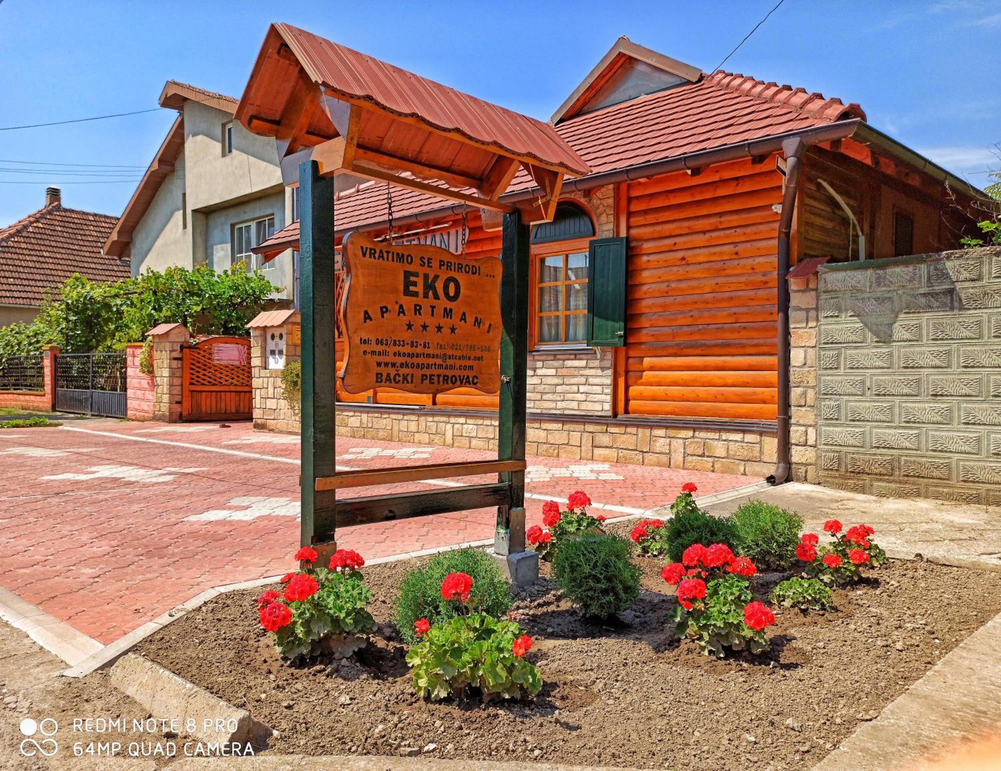 Eko Apartmani Backi Petrovac Rum bild
