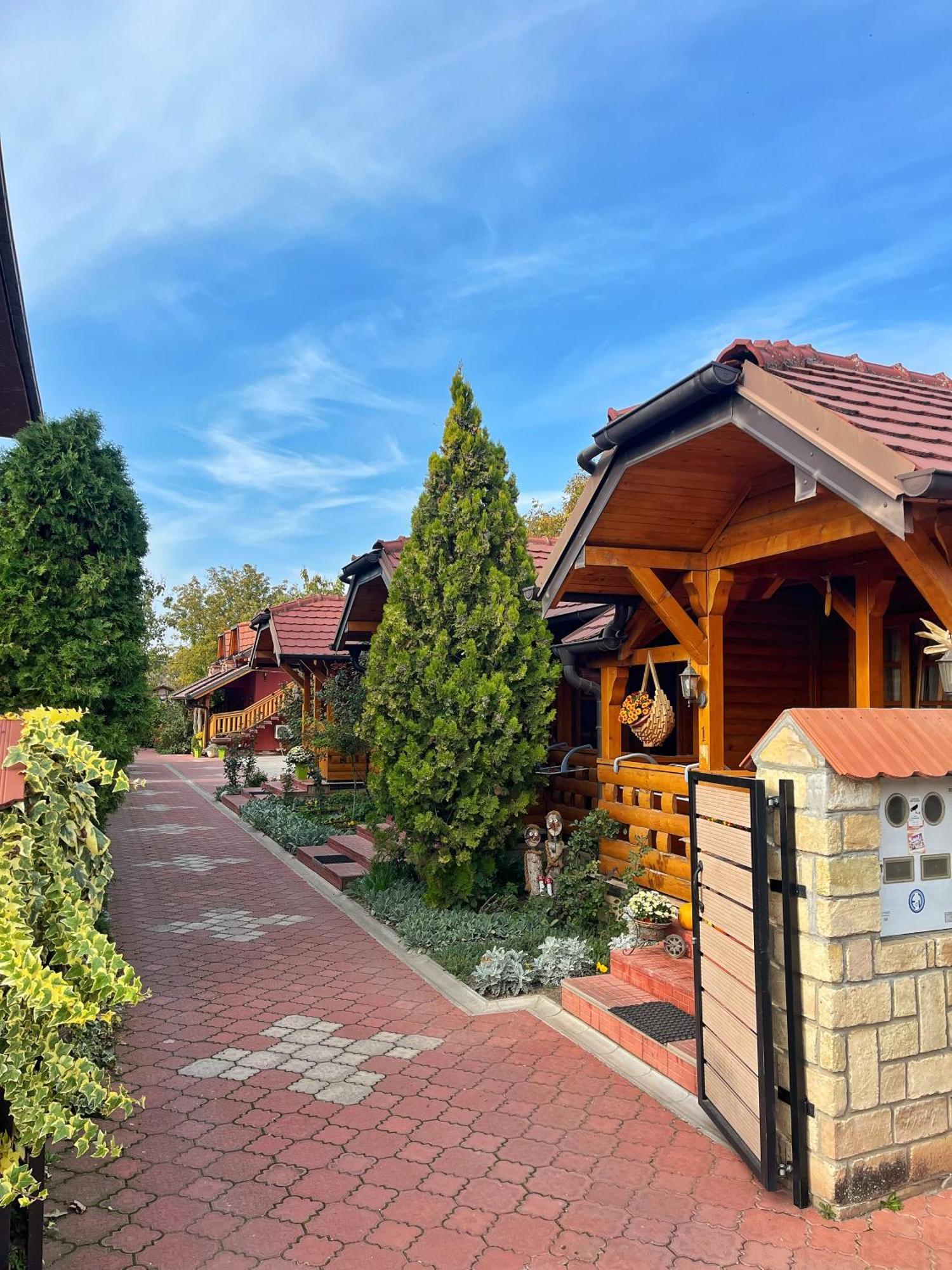 Eko Apartmani Backi Petrovac Exteriör bild