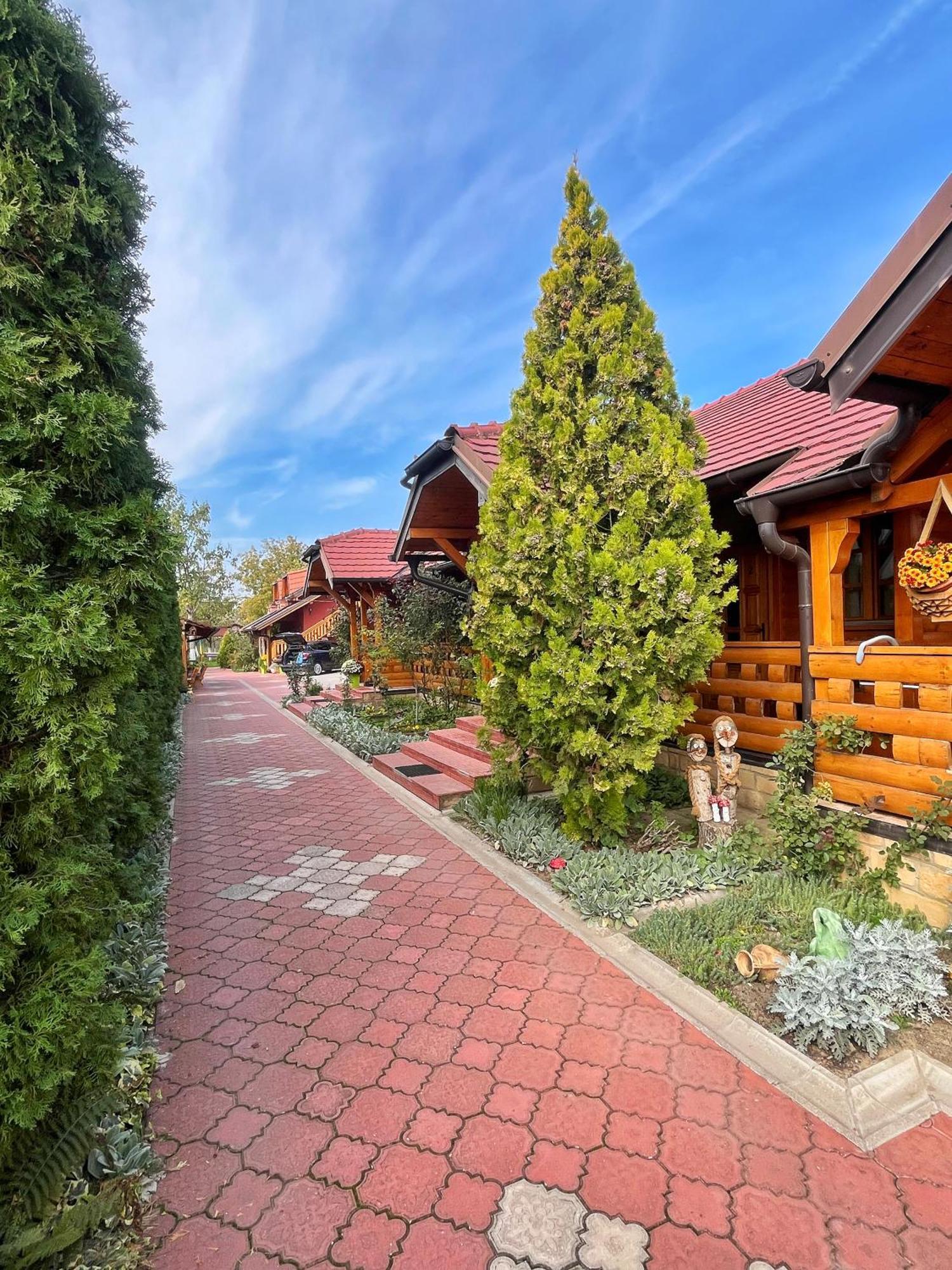 Eko Apartmani Backi Petrovac Exteriör bild