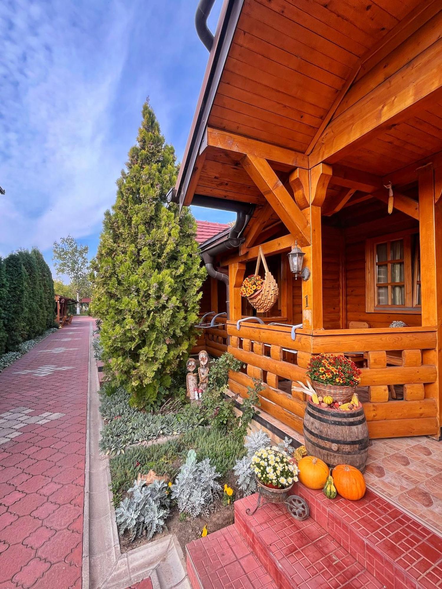 Eko Apartmani Backi Petrovac Exteriör bild