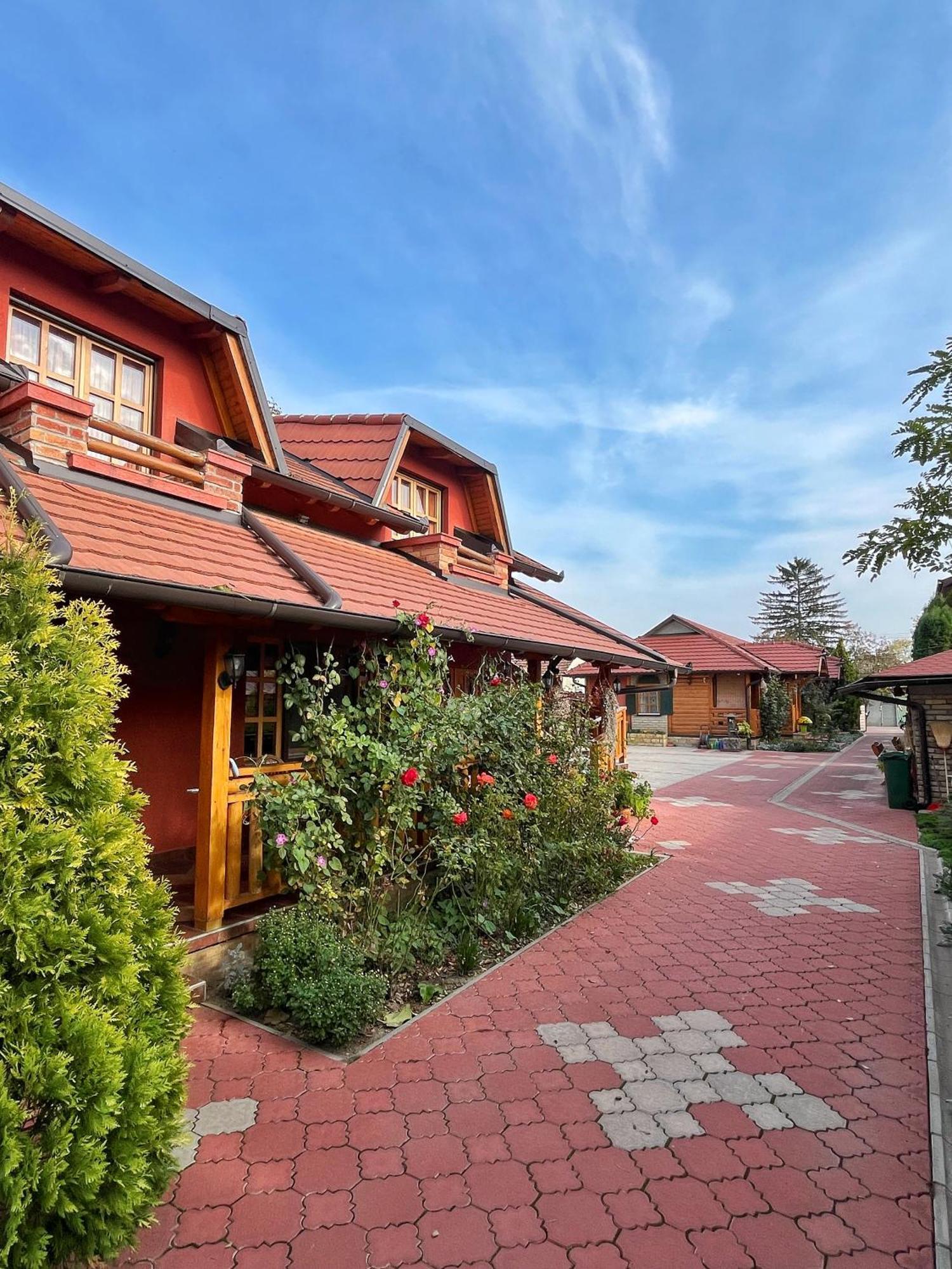 Eko Apartmani Backi Petrovac Exteriör bild
