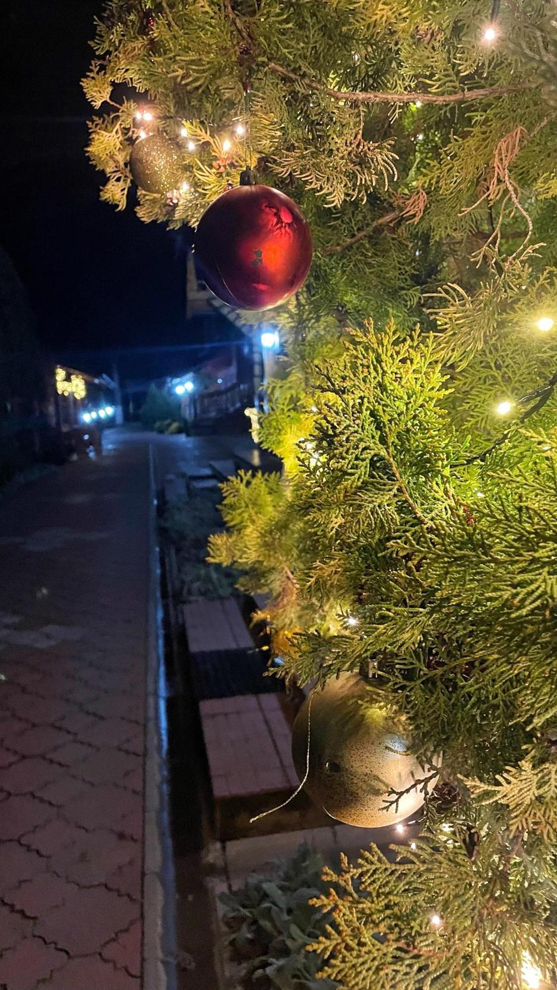 Eko Apartmani Backi Petrovac Exteriör bild
