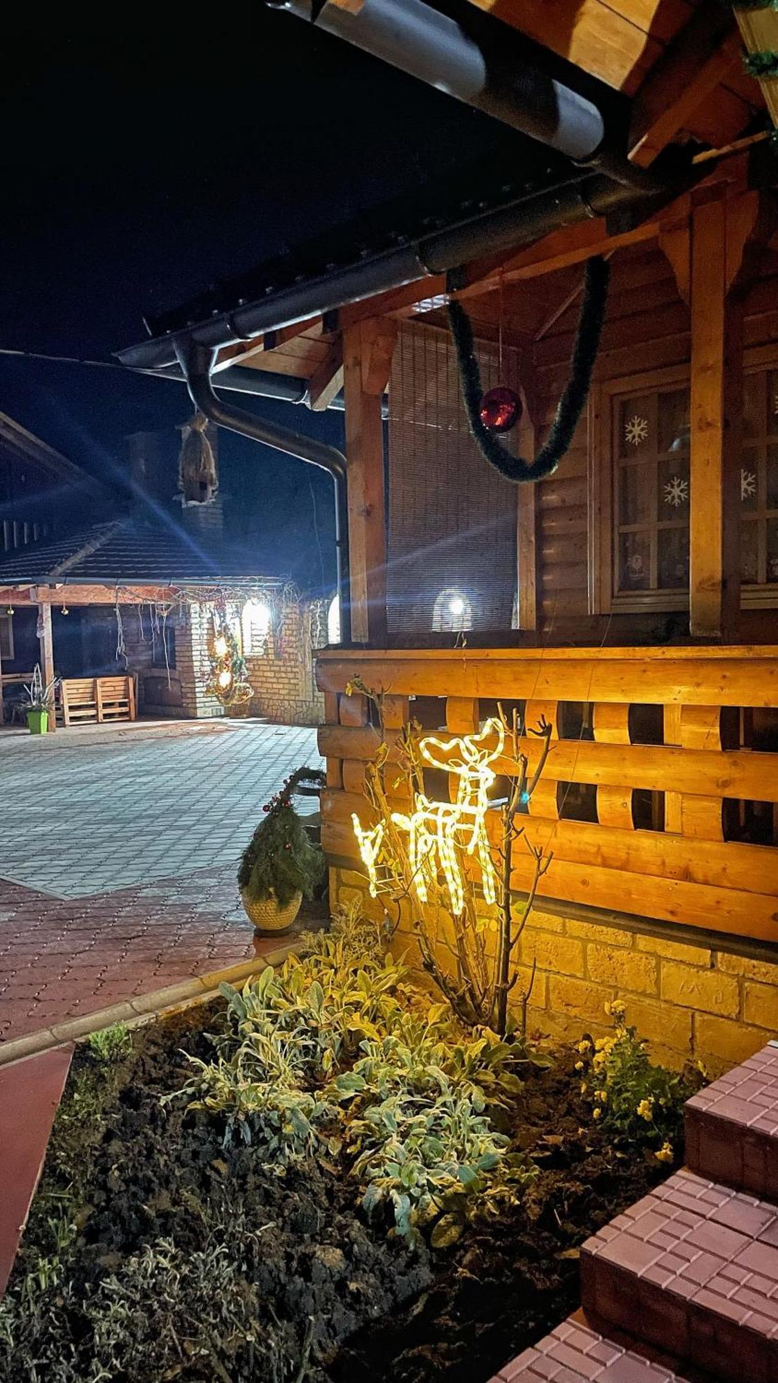 Eko Apartmani Backi Petrovac Exteriör bild