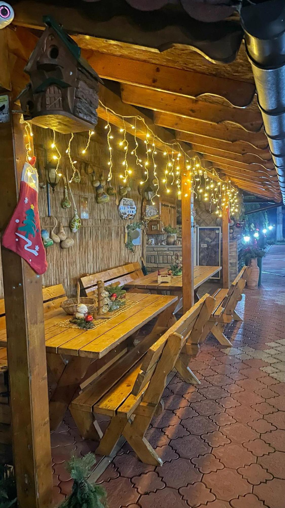 Eko Apartmani Backi Petrovac Exteriör bild