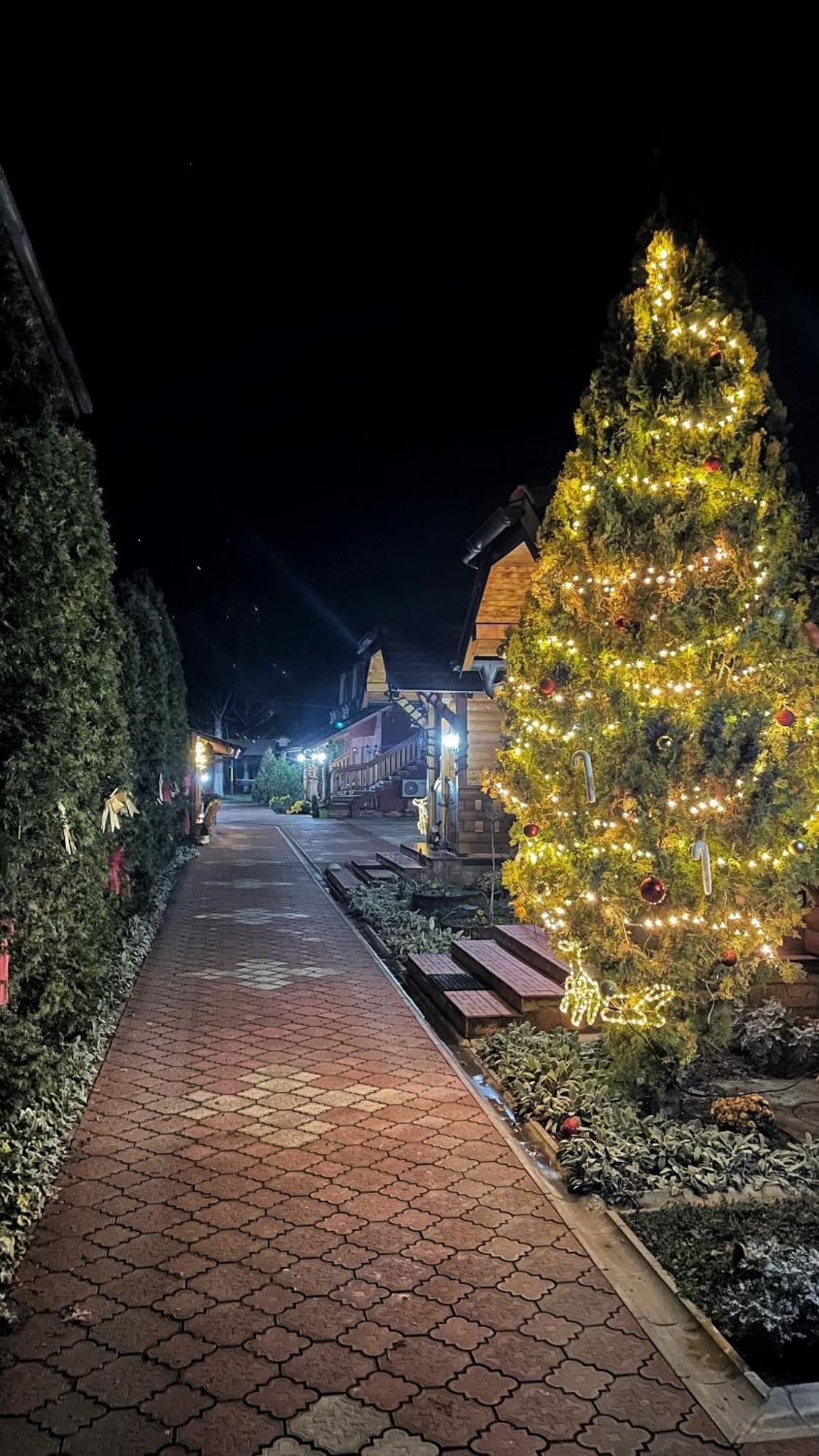 Eko Apartmani Backi Petrovac Exteriör bild