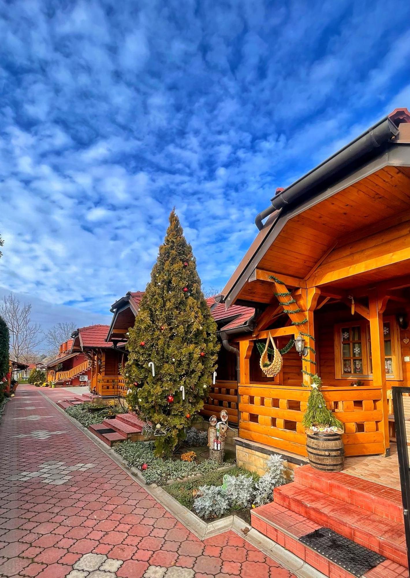 Eko Apartmani Backi Petrovac Exteriör bild