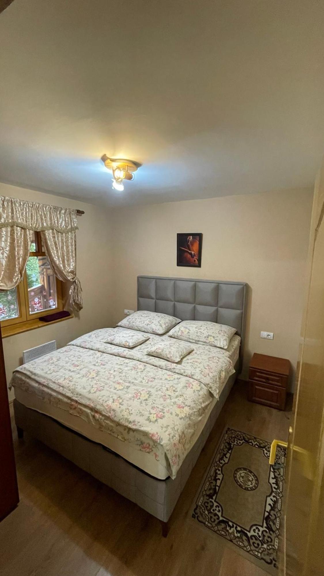 Eko Apartmani Backi Petrovac Exteriör bild