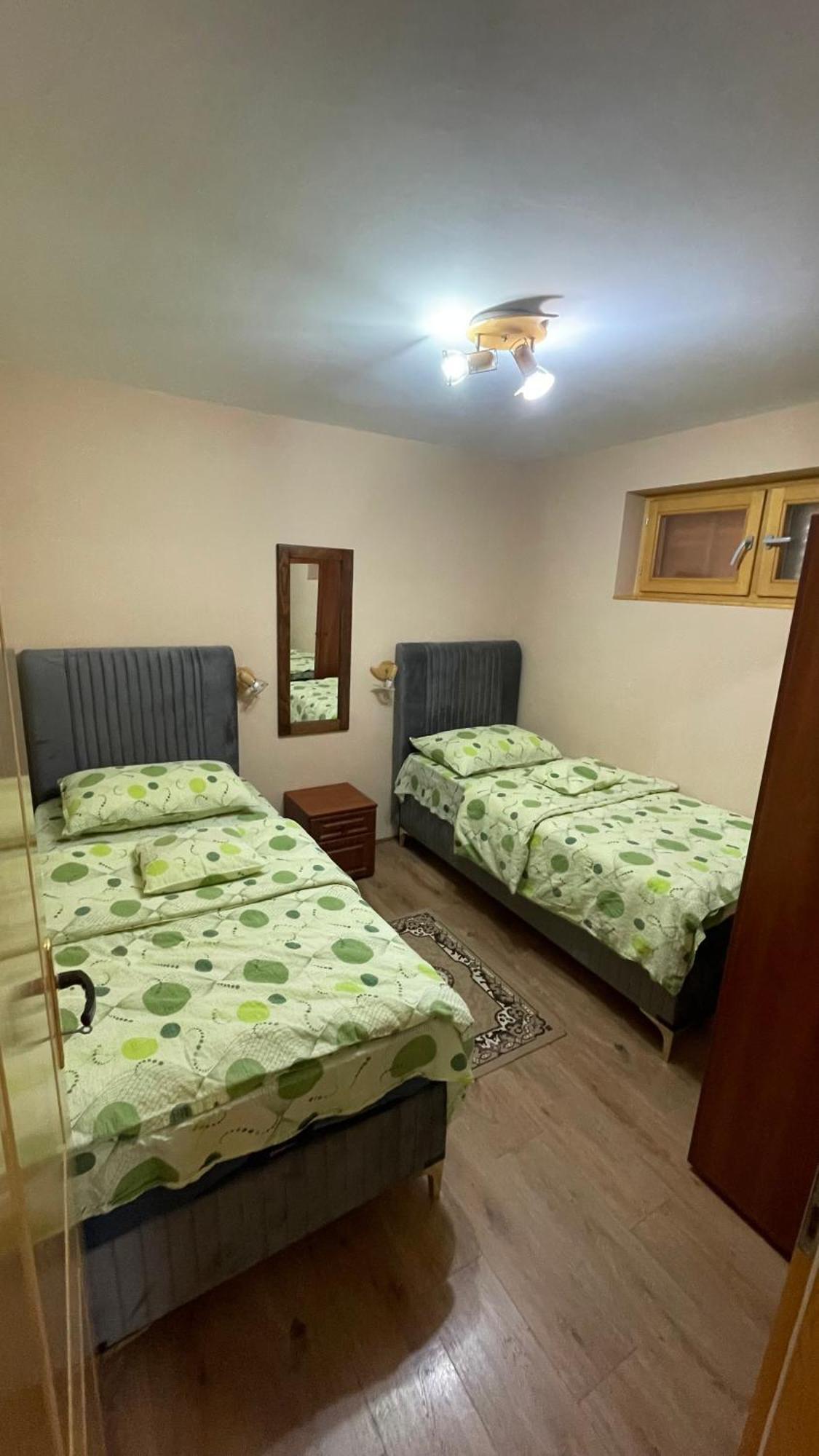 Eko Apartmani Backi Petrovac Exteriör bild